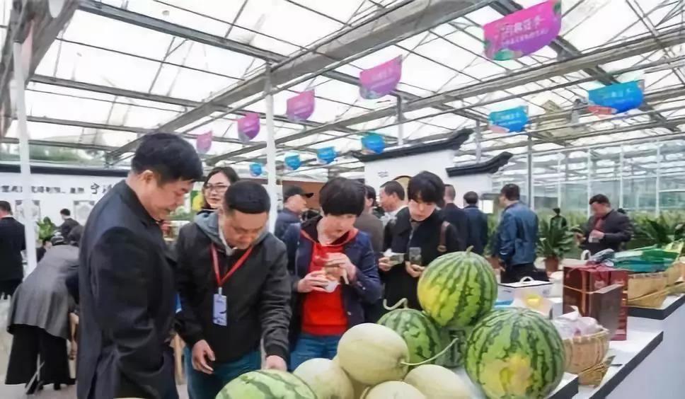 微信图片_20190729154245.jpg